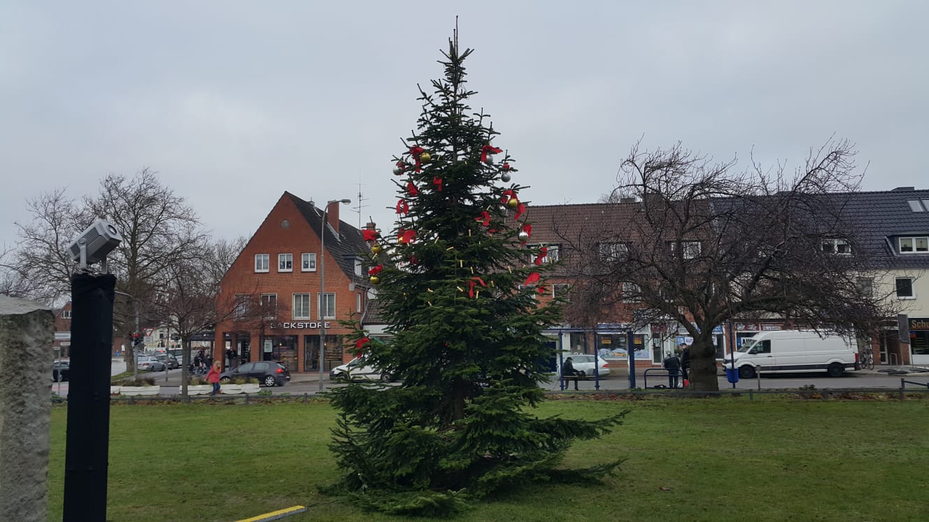 Weihnachtsbaum 2020 1