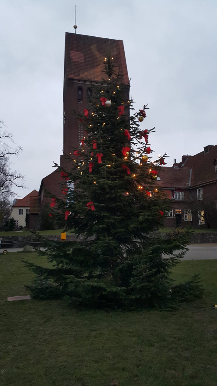 Weihnachtsbaum 2020 2